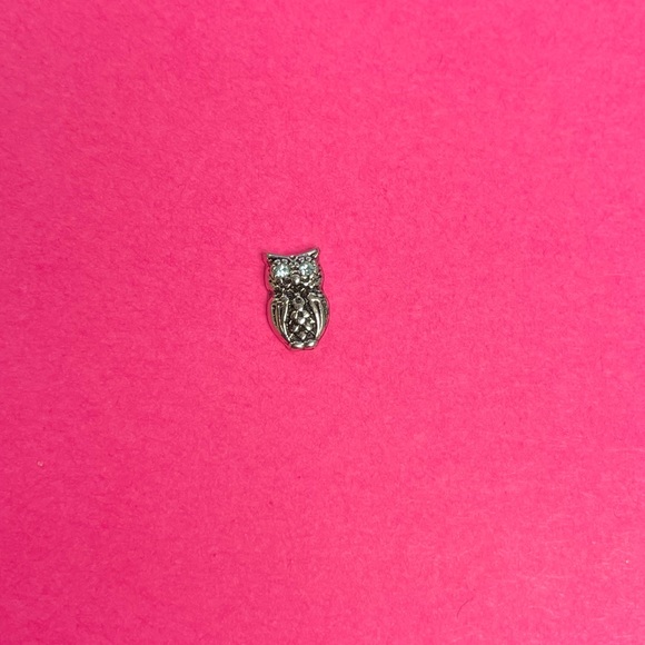 Origami Owl charm - Picture 1 of 2